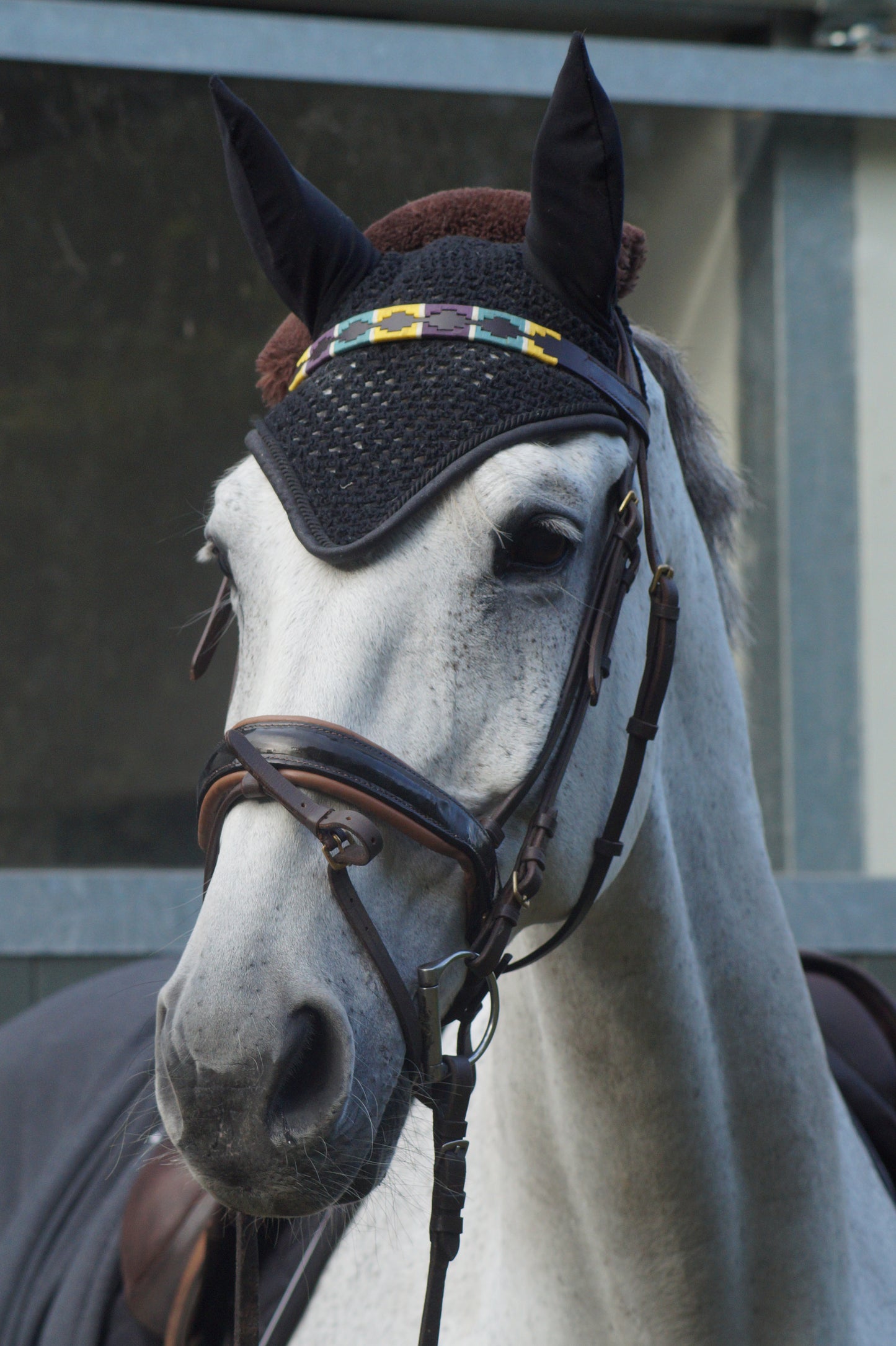 Stirnriemen Polo Gelb/Lila/Türkis